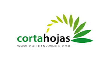 carota_hojas